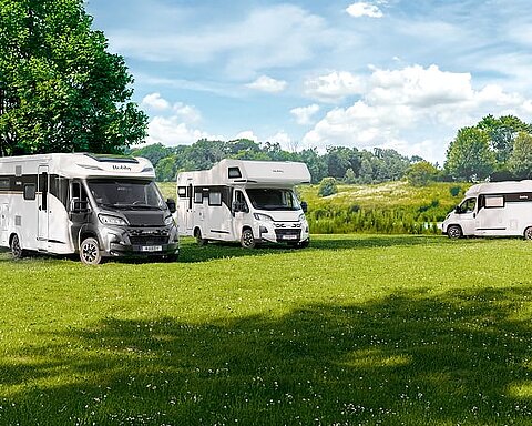 Drei weiße Hobby Wohnwagen stehen auf einer grünen Wiese vor einem Waldhintergrund.