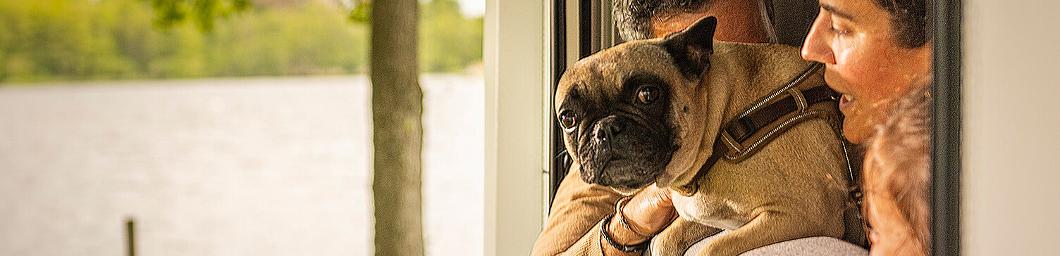 Hund und mehrere Menschen schauen aus dem Fenster eines Wohnwagens.